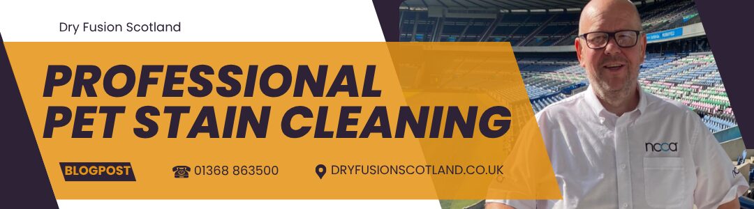 The Pet Parents’ Nightmare: Removing Deep-Set Mud and Paw Stains in Seconds