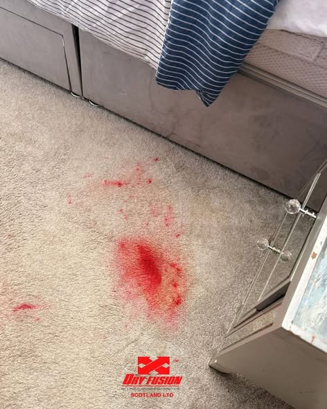 A large, vibrant red lipstick stain on a light beige bedroom carpet next to a bed and a bedside table, featuring the Dry Fusion Scotland logo at the bottom.